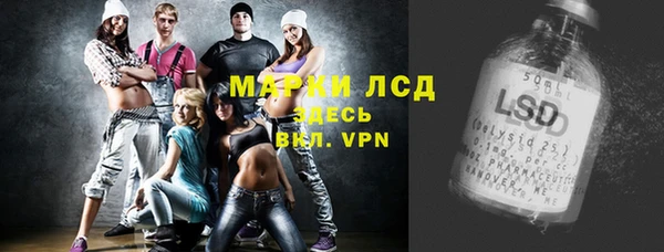крисы Каменка