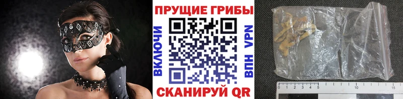 продажа наркотиков  Ишим  Псилоцибиновые грибы мицелий 