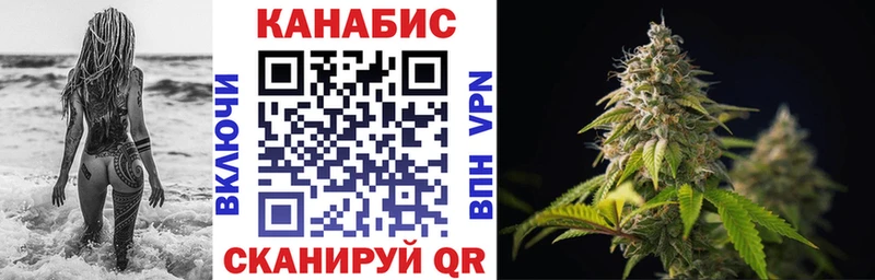 Бошки Шишки планчик Ишим